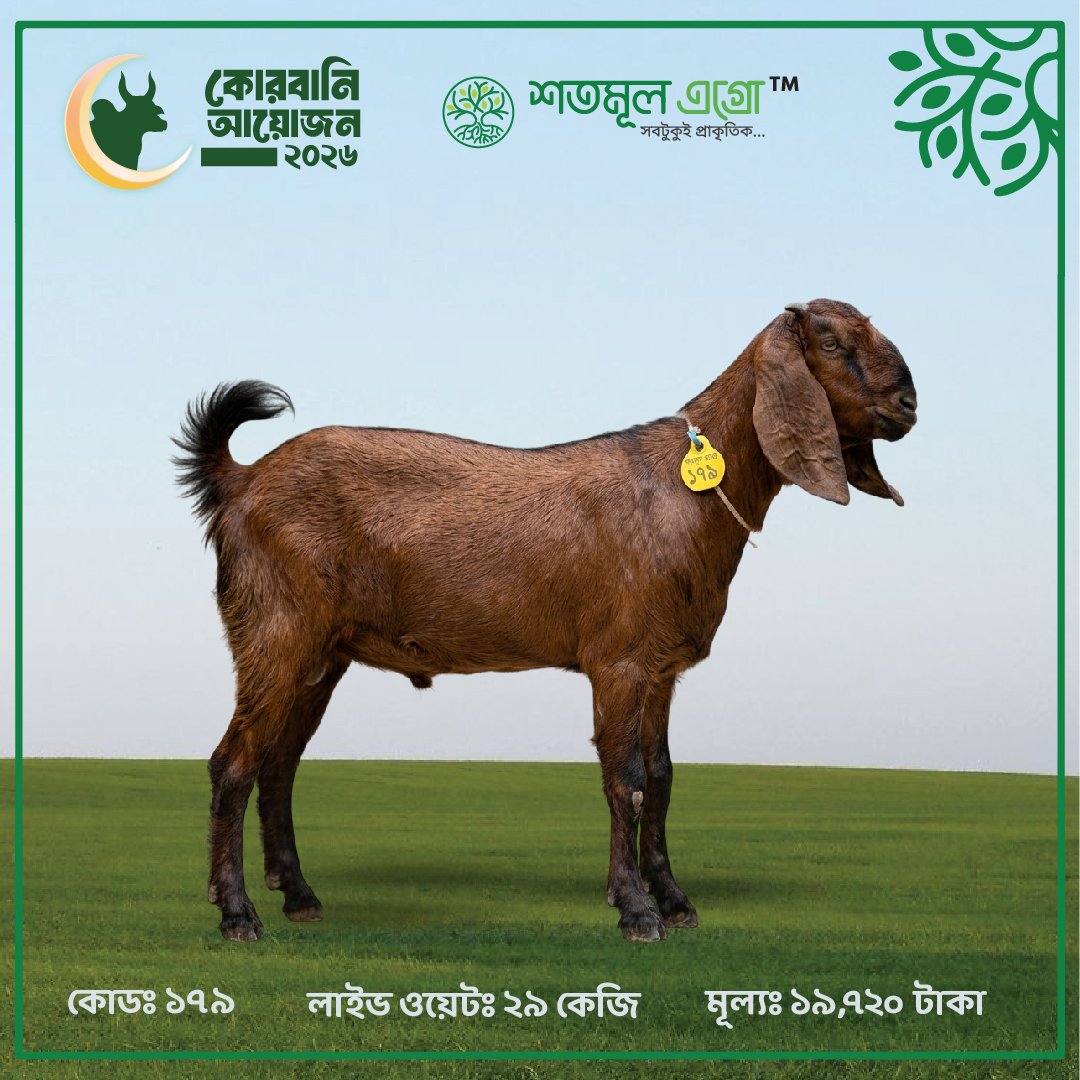 ST GOAT 179