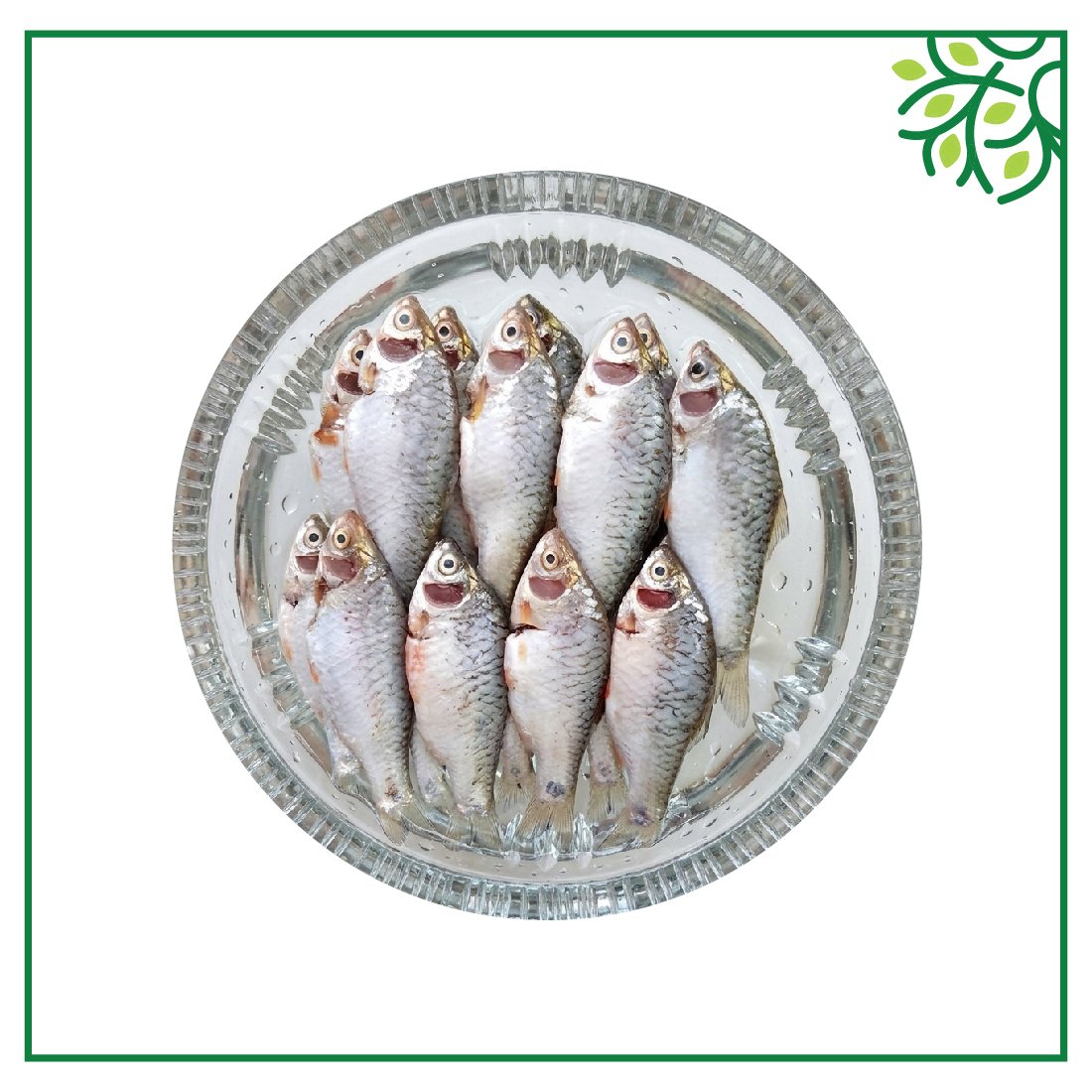 পুটি মাছ রেডি টু কুক 500Gm