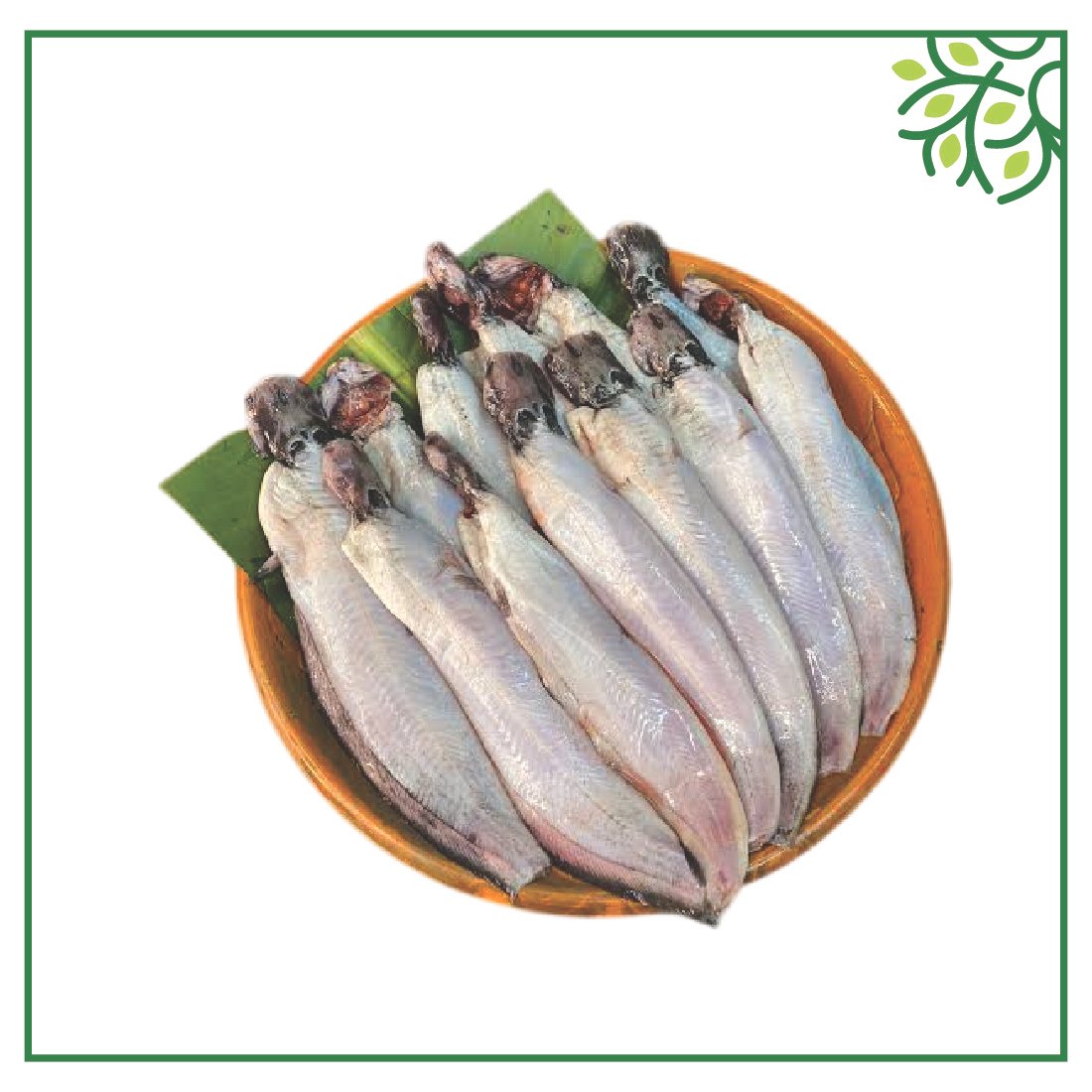শিং মাছ রেডি টু কুক 500Gm