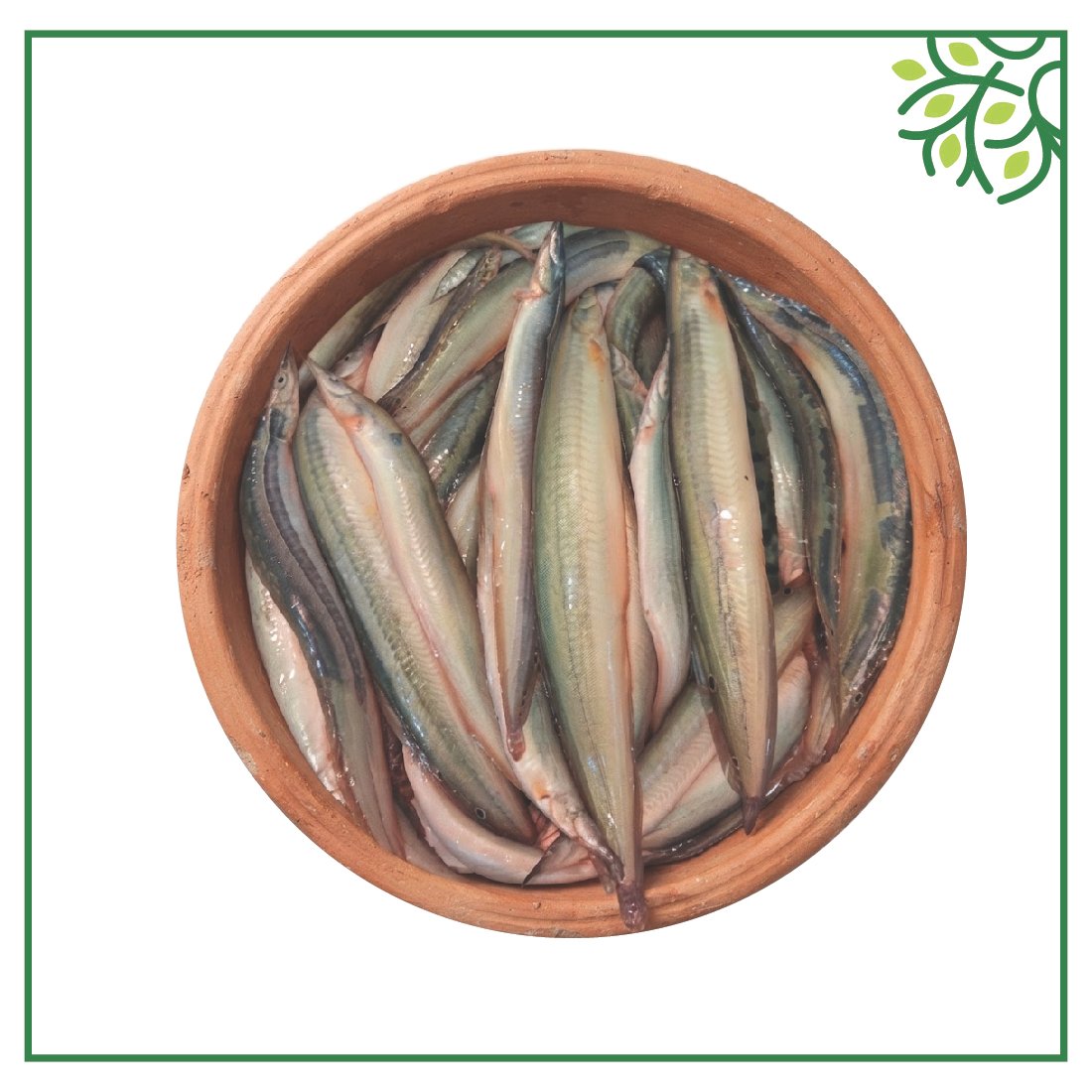 বাইম মাছ রেডি টু কুক 500Gm