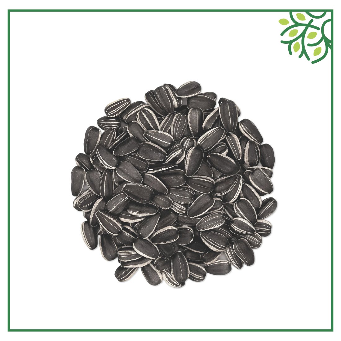Sunflower Seed 100Gm